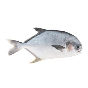 测试