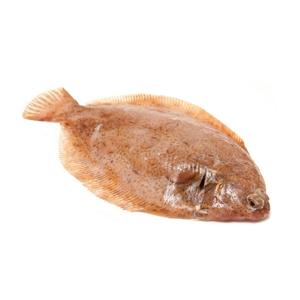测试