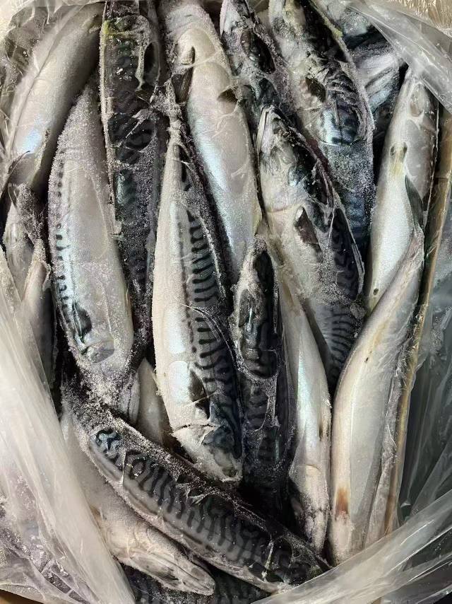 测试